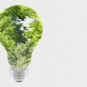 sustainable-energy-campaign-tree-light-bulb-media-remix