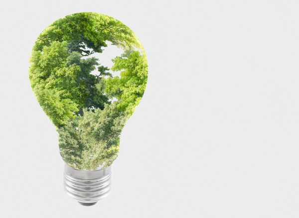 sustainable-energy-campaign-tree-light-bulb-media-remix